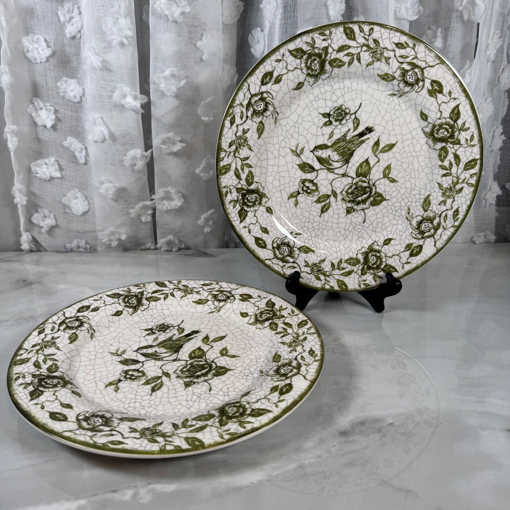 2 Cracker Barrel Susan Winget Garden Crackle Dinner Plates White Green Bird